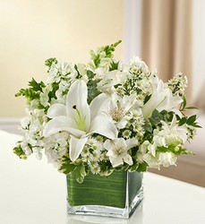 Healing Tears - All White Davenport Florist - Same Day Flower Delivery - Flower Power 